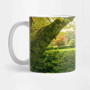 Chimney Cottage, Mount Wilson, Blue Mountains, Sydney, NSW, Australia Mug